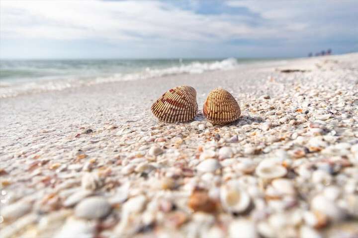 Beach 37 of 52