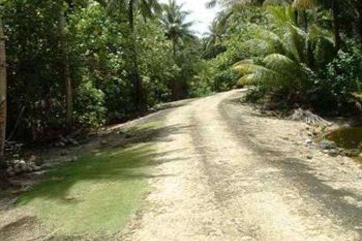 Property Grounds 17 of 23