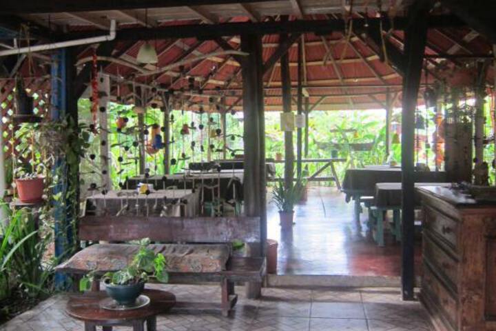 Image of LA CASONA DE TORTUGUERO