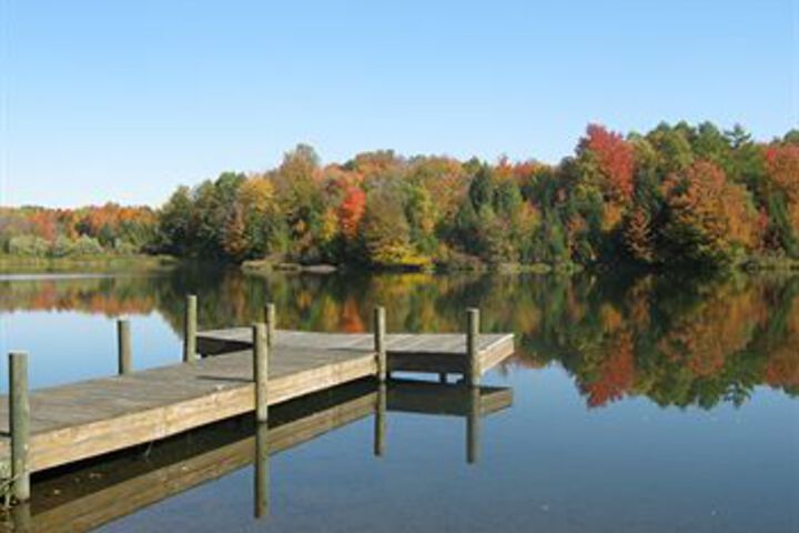 Dock
