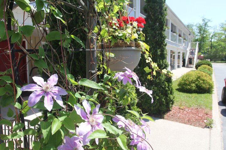 Property Grounds 84 of 90