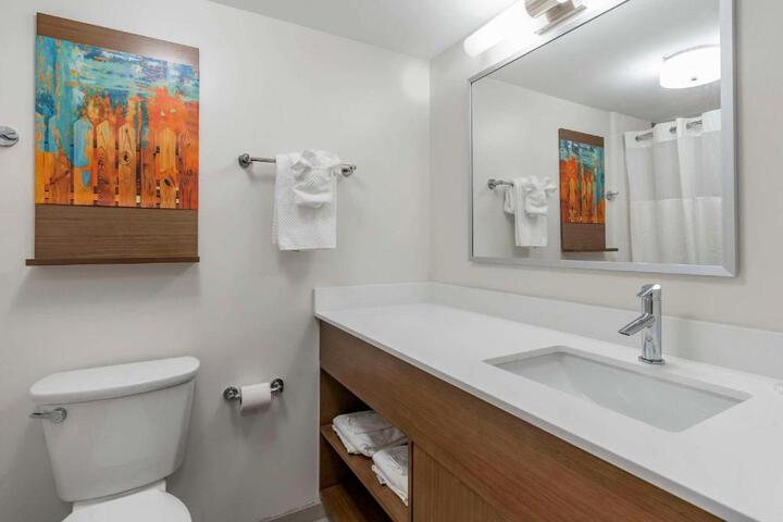 1 King Bed Suite (15 of 26)