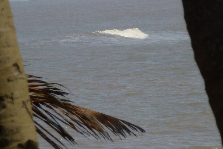 Beach 203 of 233