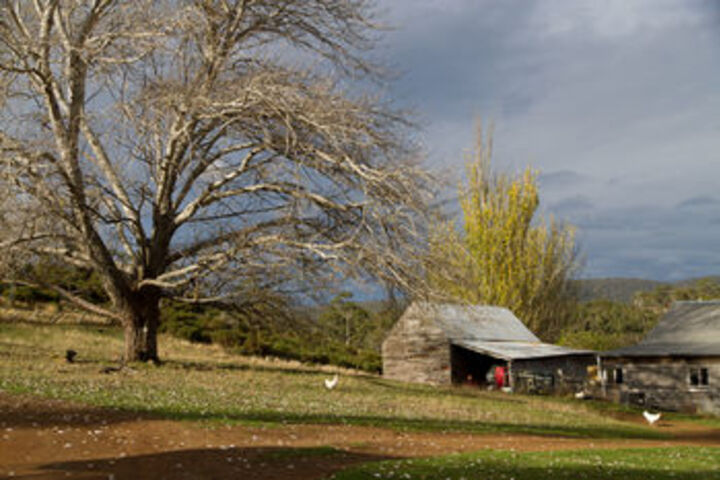 Property Grounds 67 of 74