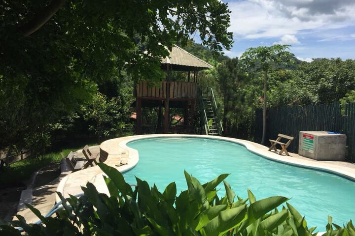Pool Photo