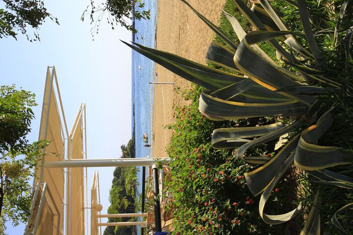Beach 41 of 64