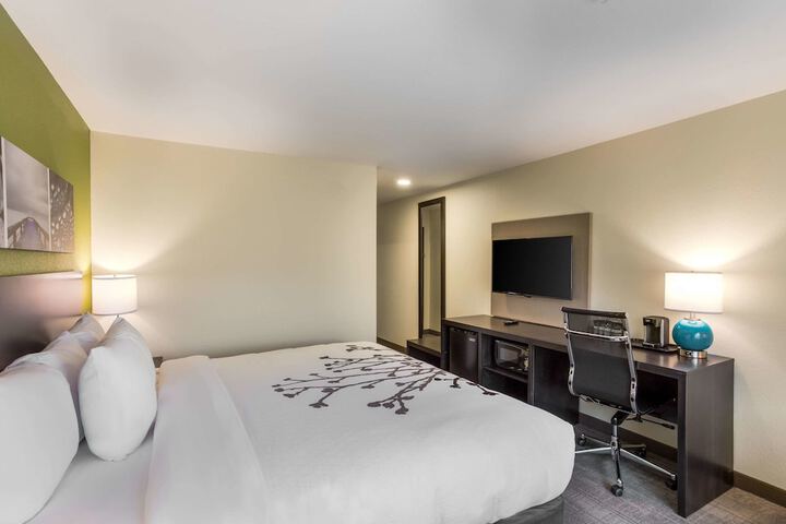 1 King Bed (8 of 13)