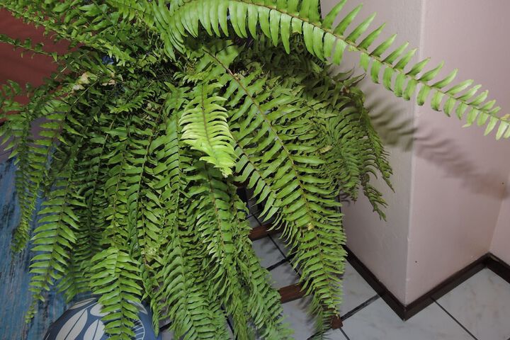 Amenity Photo