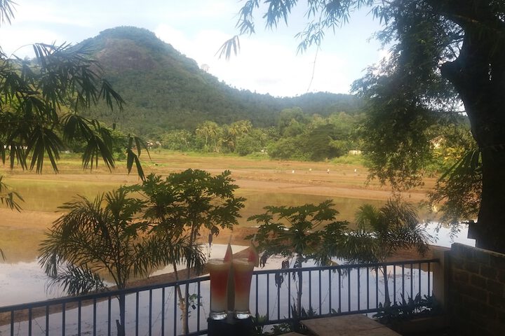 Hotel View 20 of 20