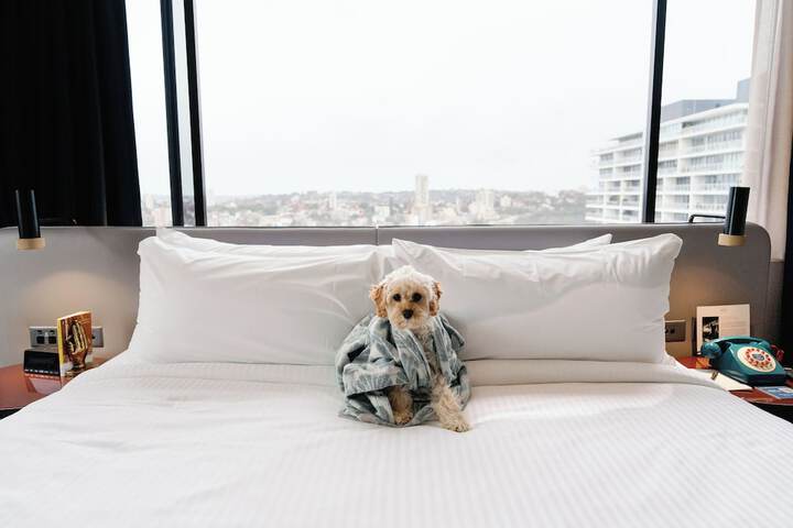 Pet Friendly 49 of 74