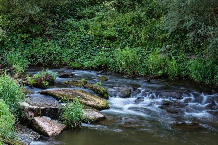 Moulin de Conques - Maison Busset Hotel et Restaurant