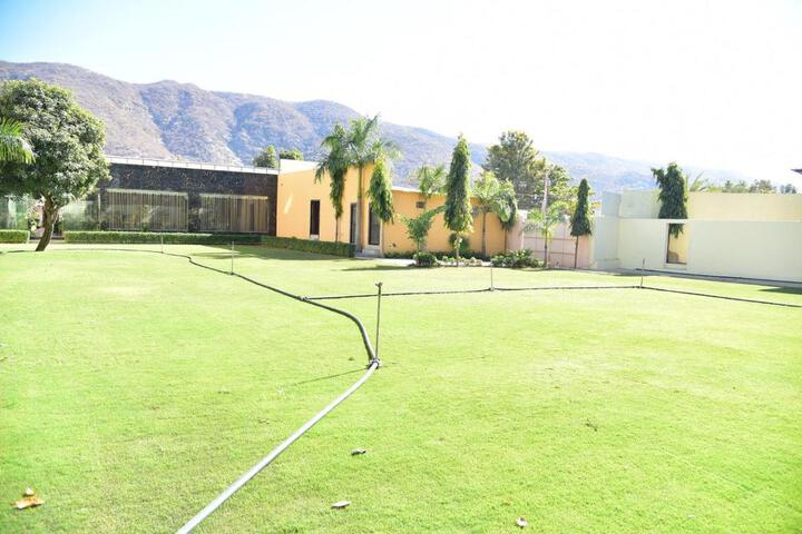 Photo 11