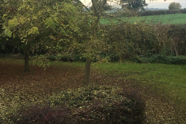 Property Grounds 29 of 34