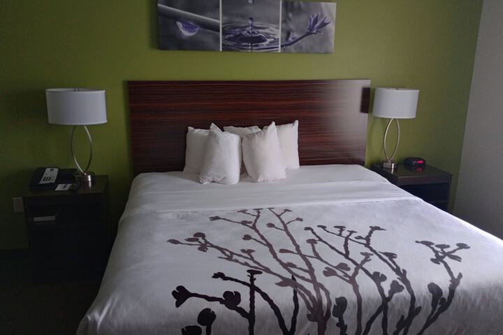 Room 21 of 51