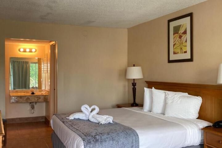 Deluxe King Bed Pool View (6 of 7)