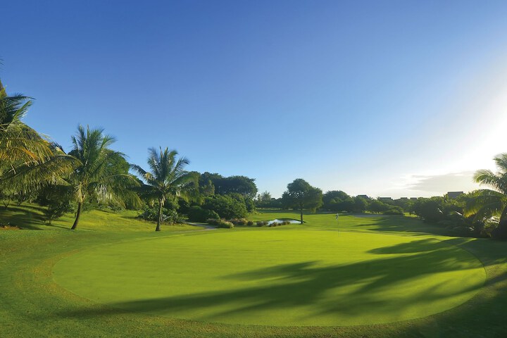 Golf 29 of 64