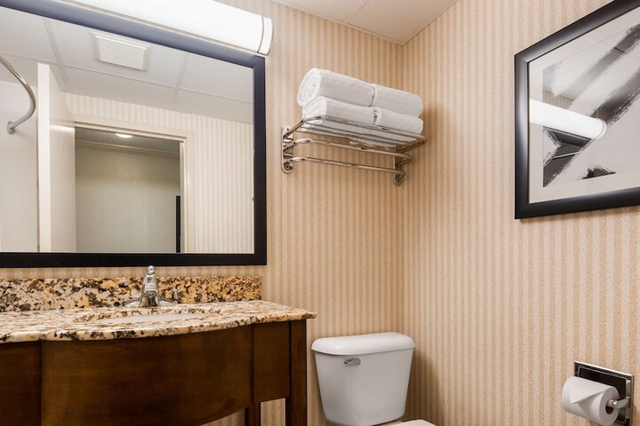 1 King Bed Bathtub Accessible (18 of 18)