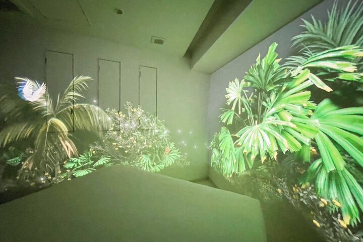 Room 20 of 72
