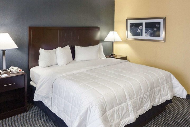 1 King Bed Accessible (4 of 9)