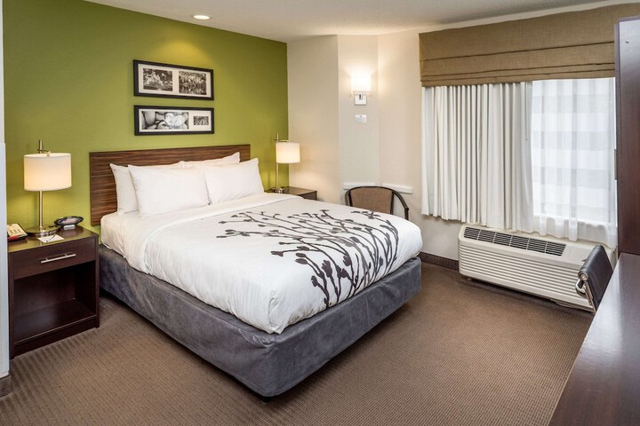 1 Queen Bed Accessible (9 of 13)