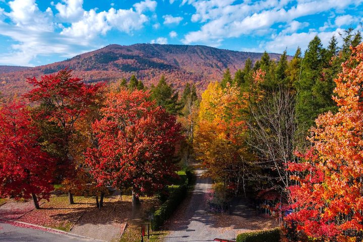 Outdoor Activities 96 of 127