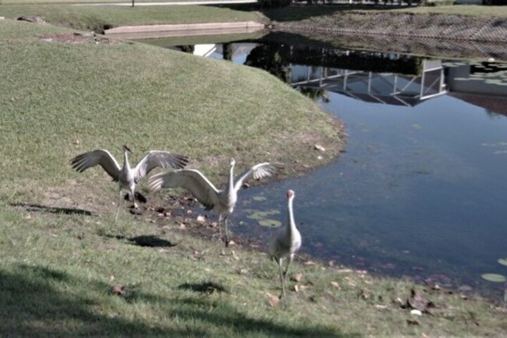 Property Grounds 25 of 26