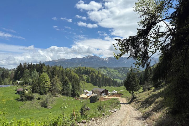 Andolia