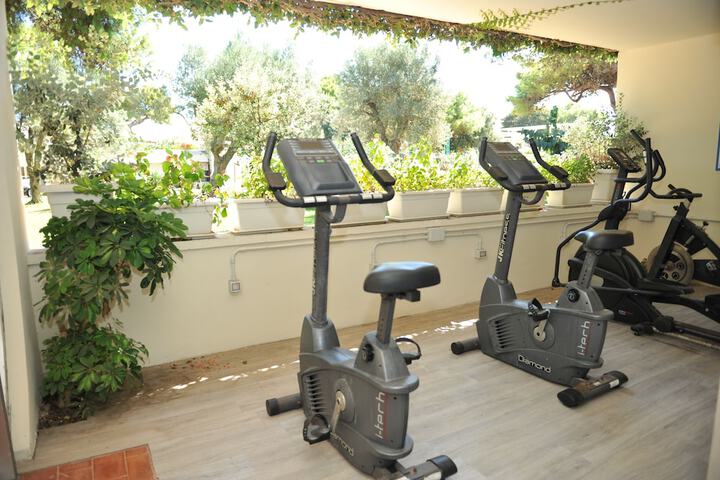 Gym & Fitness