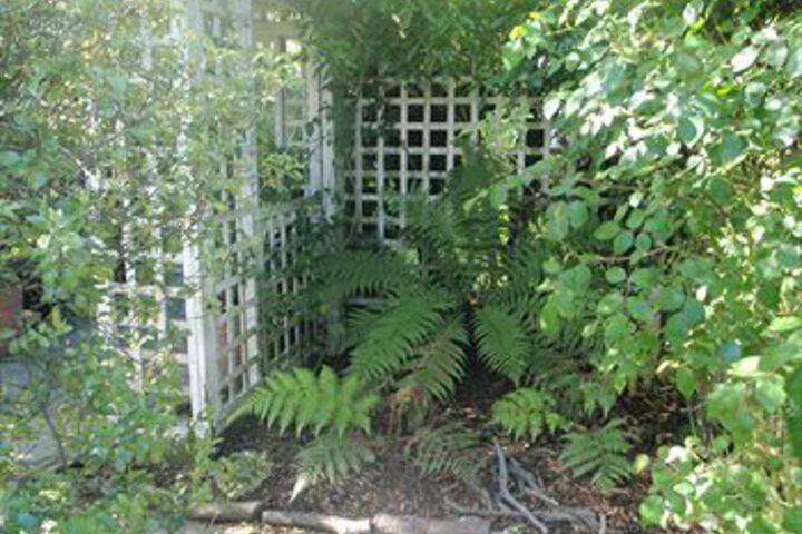 Property Grounds 29 of 30