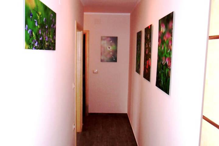 Room 12 of 54