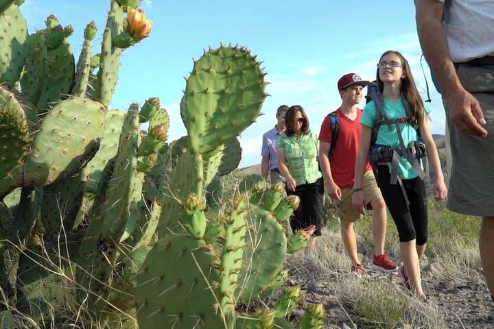 Outdoor Activities 42 of 61