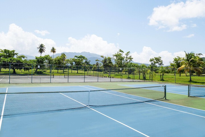 Tennis court