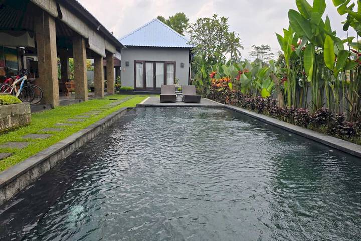 Pool 33 of 36