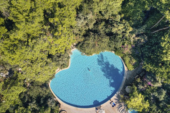 Pool 37 of 126