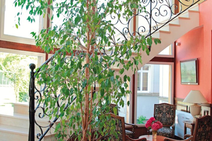 Hotel Interior 4 of 38