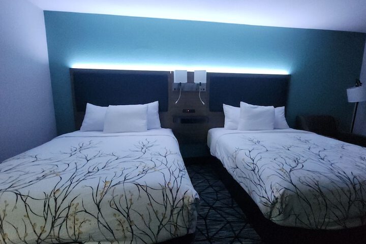 2 Queen Beds (2 of 6)