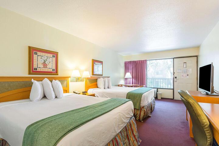 2 Queen Beds Pet Friendly (1 of 18)