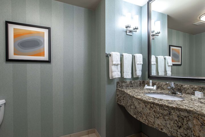 1 King Mobility Accessible with Bathtub (24 of 26)