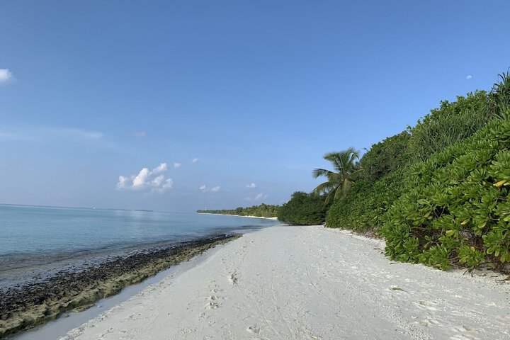 Beach 51 of 57