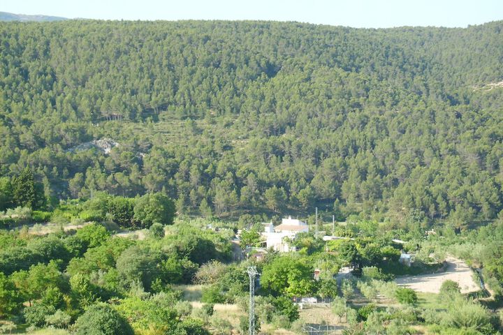 Mountain view