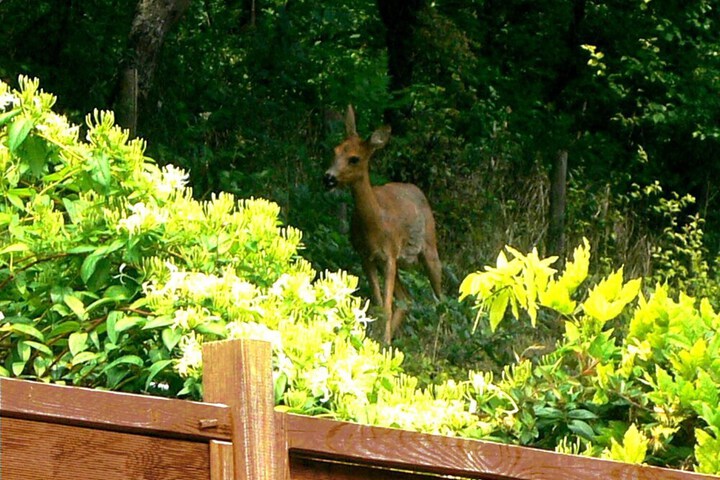Property Grounds 15 of 25