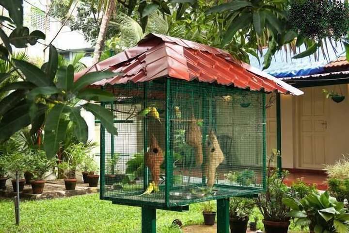 Pet-friendly
