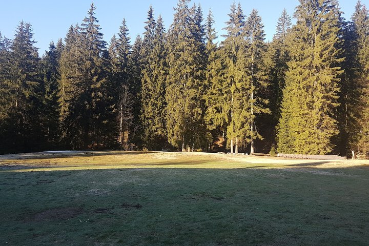 Property Grounds 116 of 128