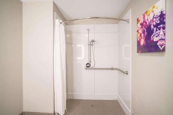 1 King Bed Accessible (7 of 14)