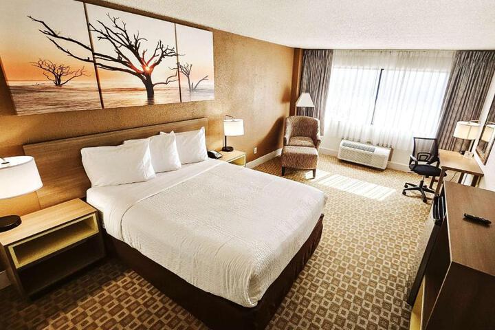1 Queen Bed (2 of 4)