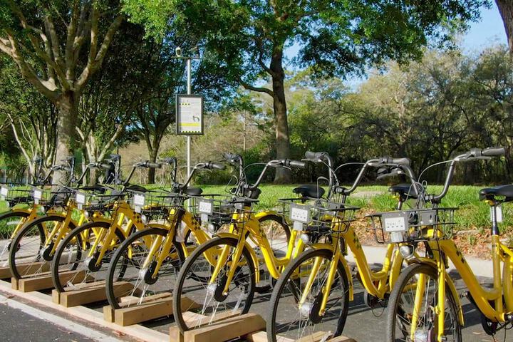 Health and Fitness 36 of 75