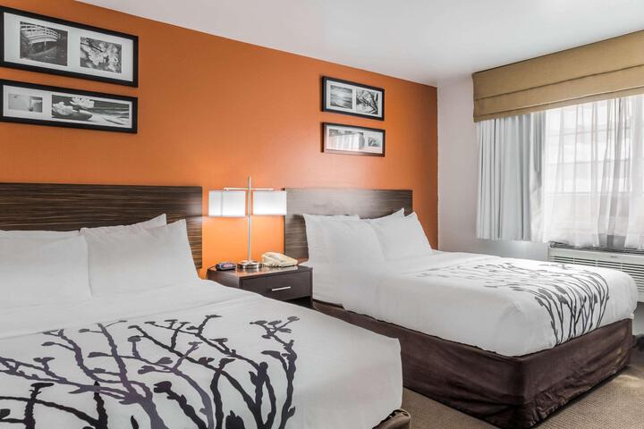 2 Queen Beds (4 of 18)