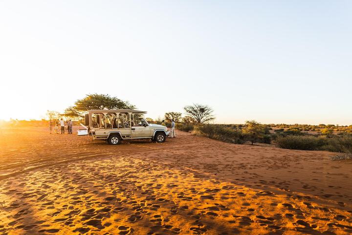 Game drive