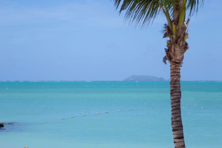 Beach 129 of 157
