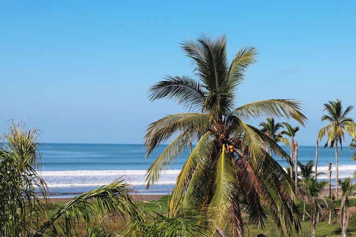 Beach 14 of 20